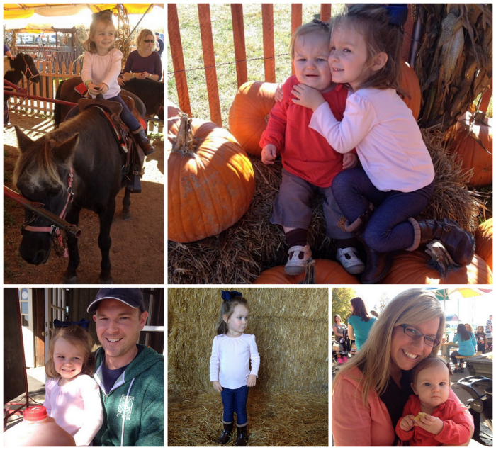 2013 Cider Mill collage